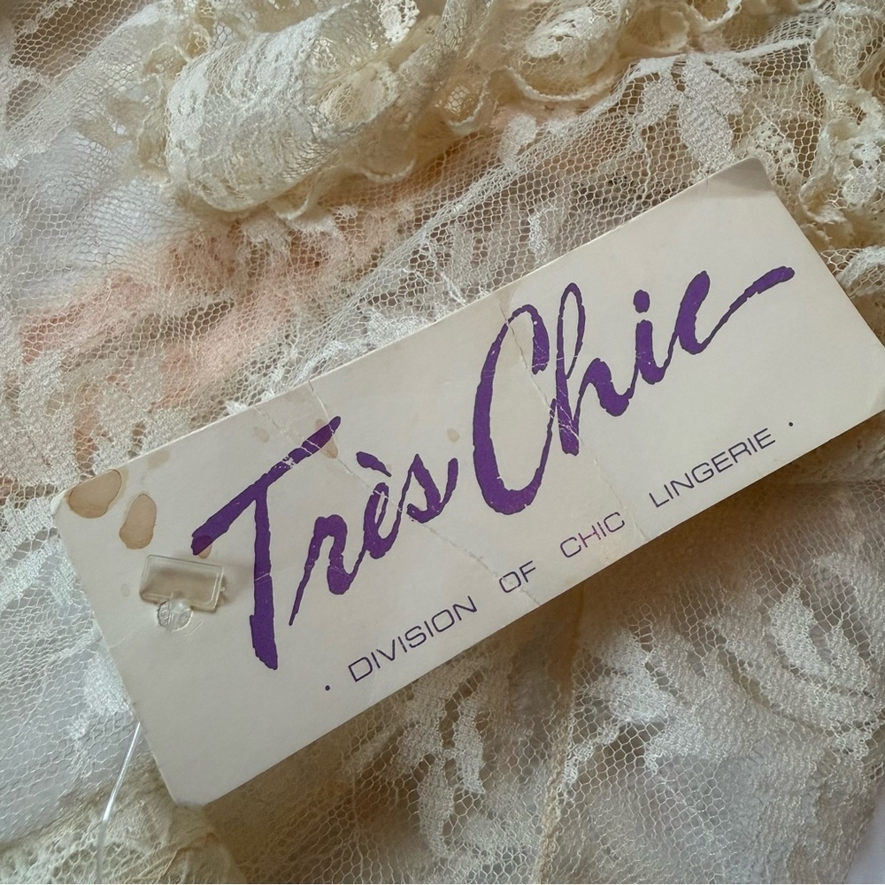 Vintage Pandora Lingerie by Chic Lace Garter Camisole In Soft Ivory And Pink - Picture 9 of 10